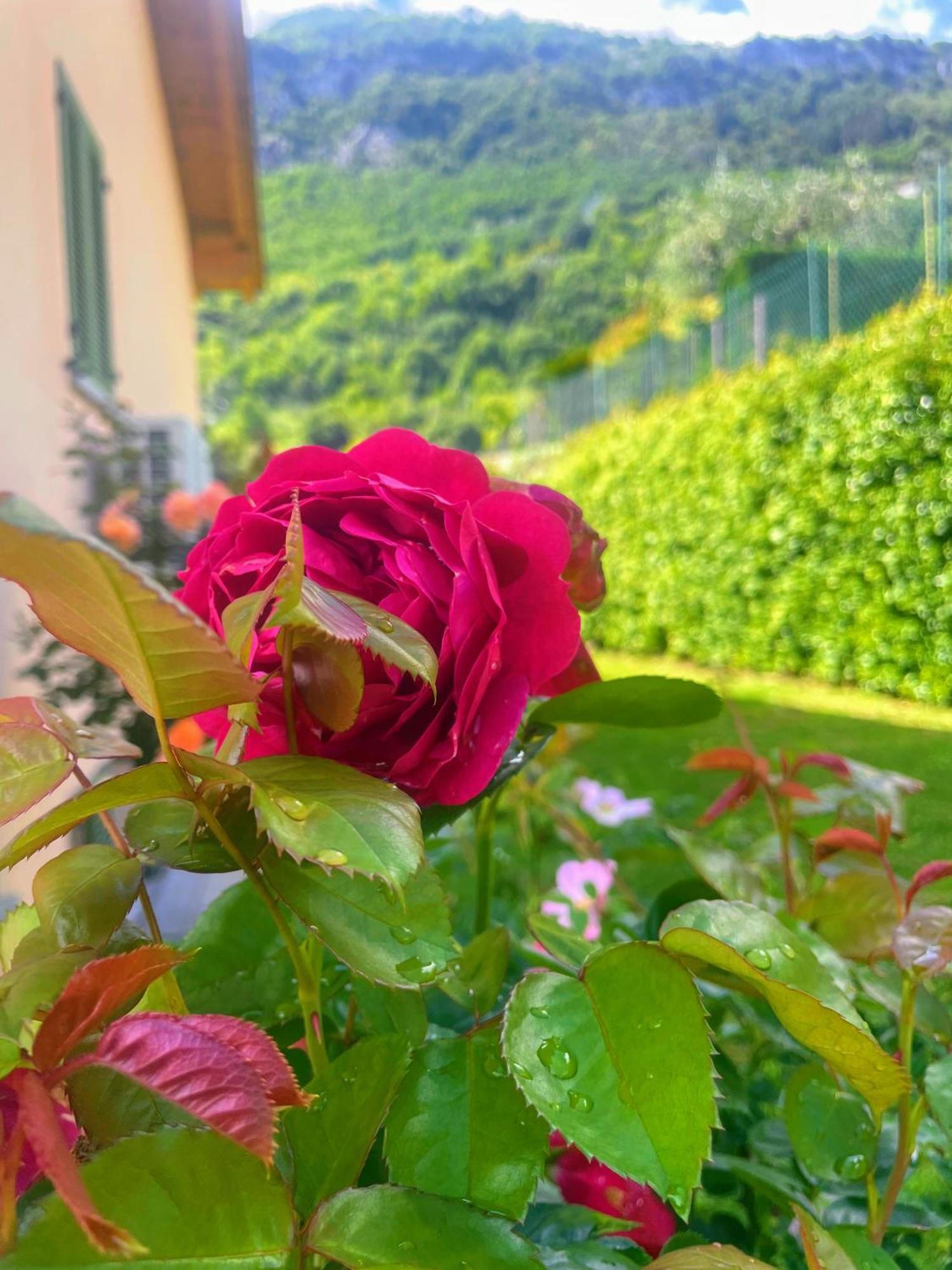 Comacina Villa Como Exteriér fotografie